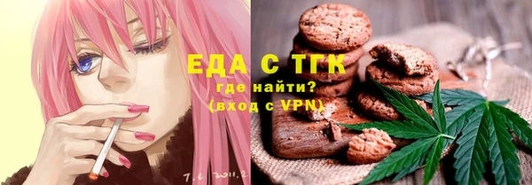 индика Бугульма